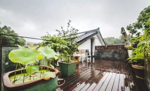 杭州西湖景區(qū)一家藝術(shù)氣息日式精品民宿,偷得浮生半日閑