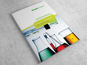 巧妙利用鮮亮顏色與斜角色塊營(yíng)造視覺(jué)層次的化學(xué)工廠宣傳手冊(cè)設(shè)計(jì)